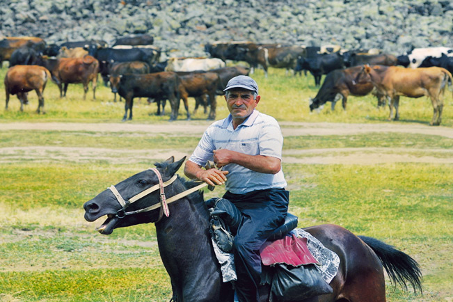 Media image