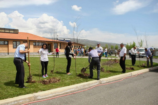 Media image